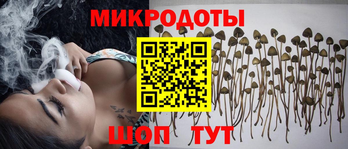 Долгопрудный  Псилоцибиновые грибы прущие грибы  Псилоцибиновые грибы мицелий  Вход с VPN 