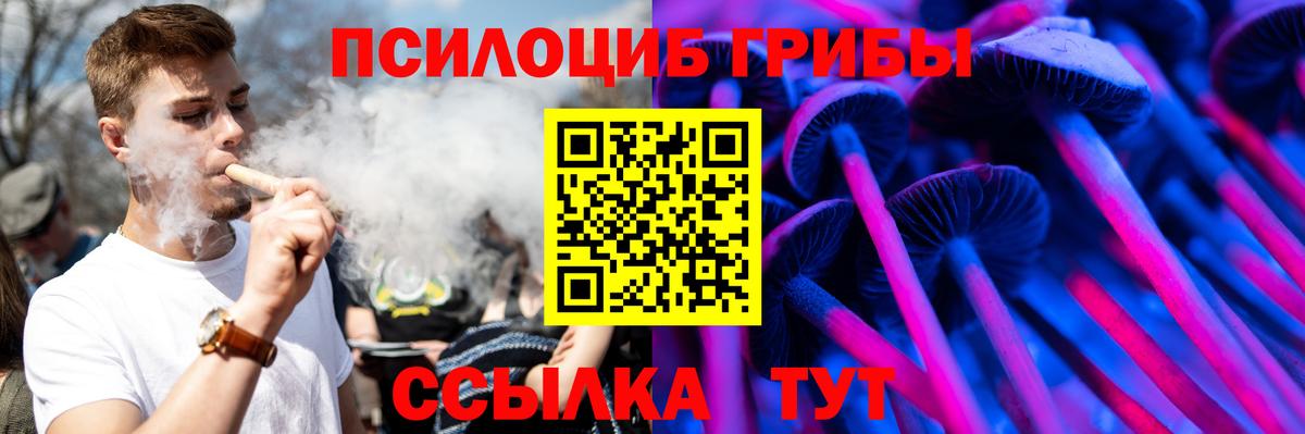 Галлюциногенные грибы Psilocybine cubensis Долгопрудный