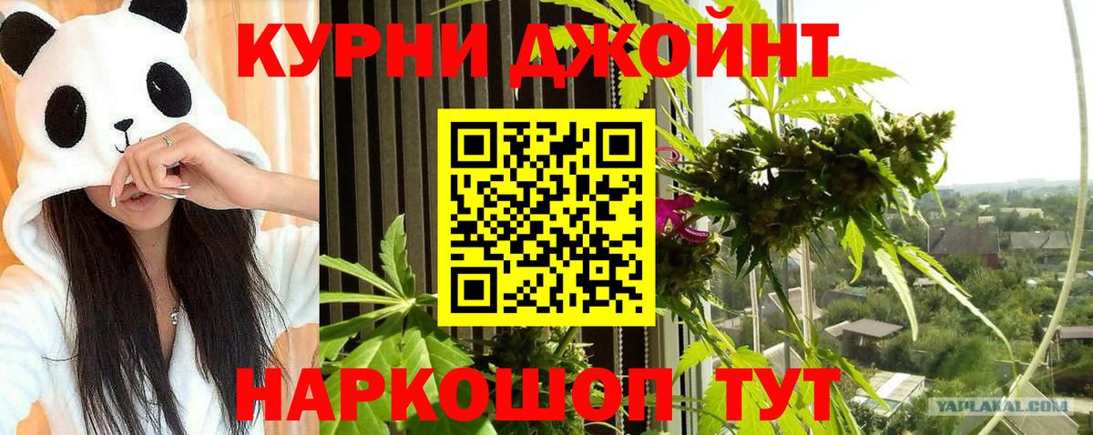 Конопля план  Каннабис семена  Вход с VPN  Долгопрудный 
